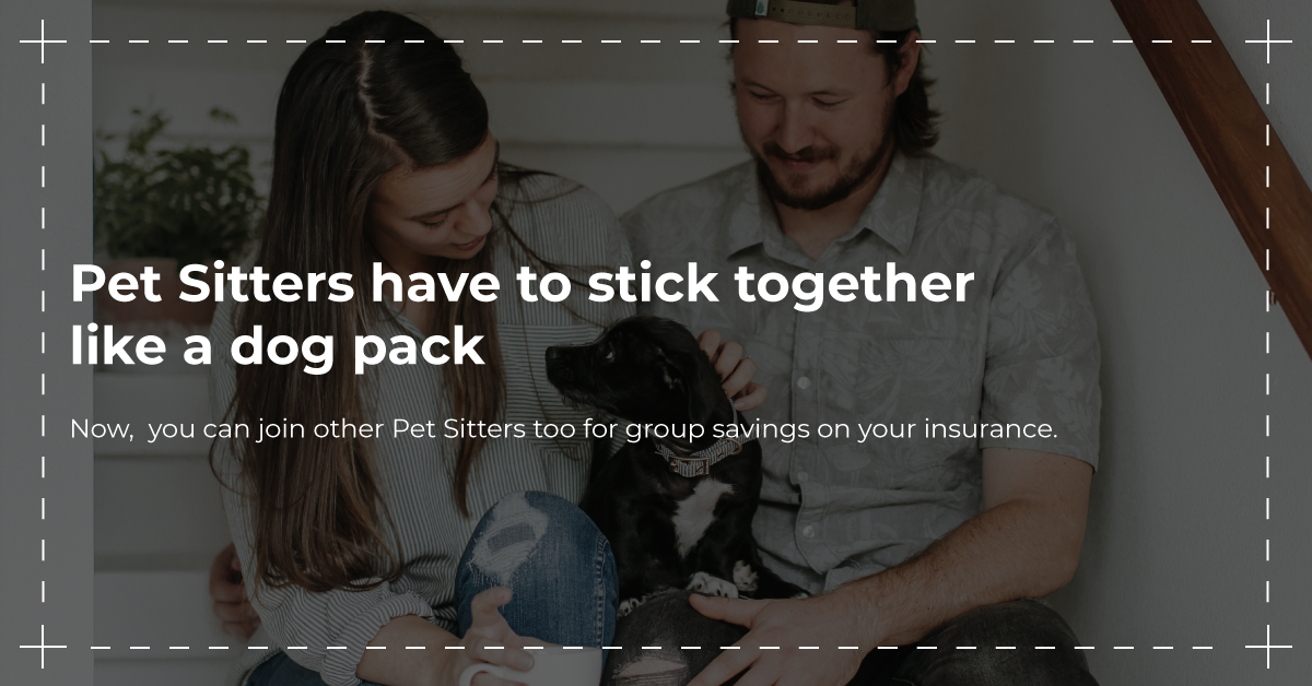 Pet Sitters Foxquilt Groups